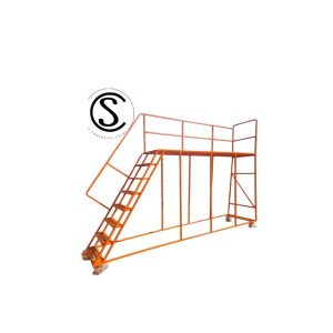 Escalera medidas especiales