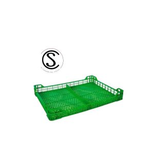 BERRIES 45X34 G2 VERDE