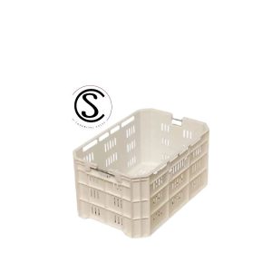 ARANDANOS PP AMARILLO/BLANCO