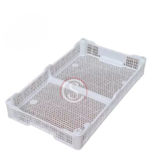 BERRIES 50 X 30 G2 BLANCO