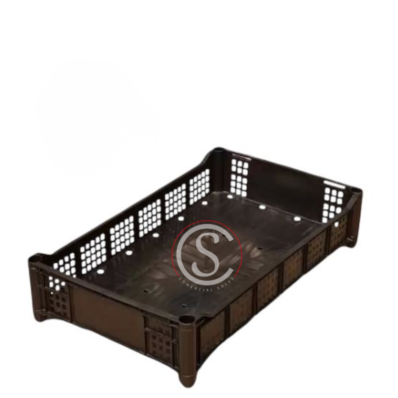BERRIES BERRYTRAY L2 NEGRO