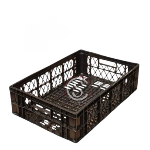 CAJA POLLO WEN L2